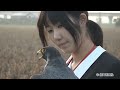 女子高生の鷹匠がハヤブサを放鳥【佐賀新聞】