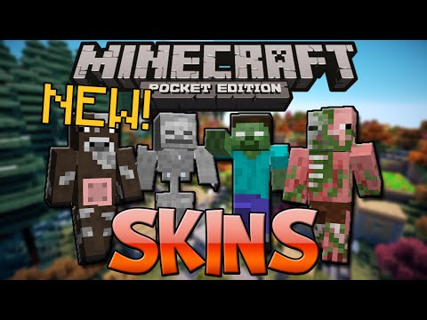 how to put a skin on minecraft pe