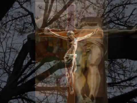 If Thats What You Call Love - Punk/Metal/Dubstep