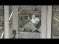 Pripyat places:Glasshouse