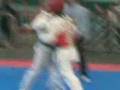 ivan tae kwondo allende