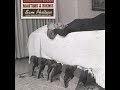 Videos Musicales de Sam Phillips