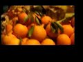 anouar brahem - kashf