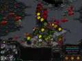 ZvZ Pimpest Play! (P5/5) Tot)Xiaozi( v Play.Satanik