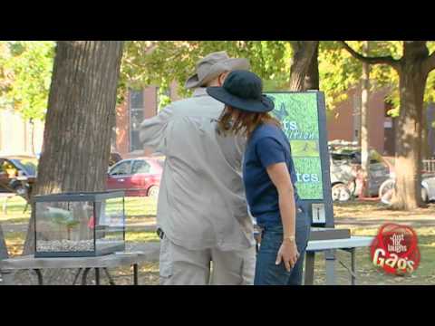 Spider On Back Prank