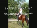 Adeline et La Colombe, Moi et Heim