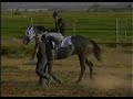 PATRIOTA VS PIPILA(PILLO EN CHIHUAS)