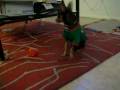 videos de MVI 8280