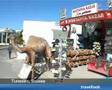 Tunesien Sousse      www.travellook.tv