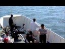 Jazz Cruise 2008- Updated Jazz Cruise 2008- Updated