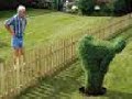 funny pictures by Irishsk4t3r funny pictures by Irishsk4t3r
