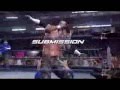 Smackdown vs raw 2008 finishers