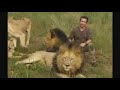 Man forges unique bond with tamed big cats. Plays with them as if they are domestic pets.