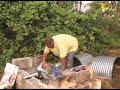 Pig Roast