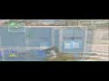 good enough for a montage?