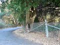 Bye bye coon Bye bye coon