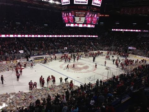 Teddy Bear - Here's the story http://www.buzzbishop.com/blog/calgary/video-watch-25000-bears-fly-teddy-bear-toss/ 25921 teddy bears were tossed on the ice to help kids i...