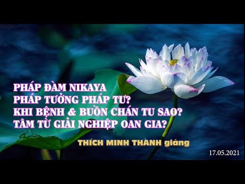 Pháp Đàm NIKAYA - Pháp Tưởng Pháp Tư ? Khi Bệnh & Buồn Chán Tu Sao ? Tâm Từ Giải Nghiệp Oan Gia ?