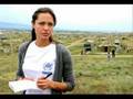 Angelina Jolie & UNHCR - Viva Forever