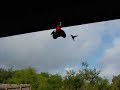 HUMMING BIRD SWARM AND JILLBABY IS OBLIVIOUS!