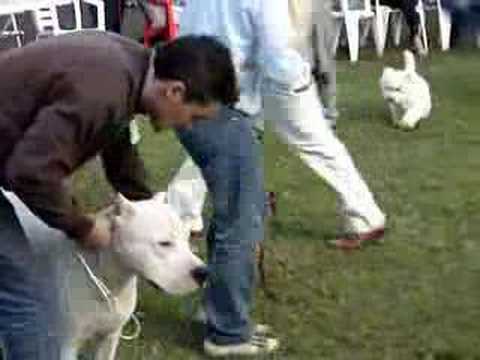 Imagen de previsualización de YouTube