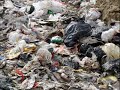 sacos plasticos X sacola ecológica retornável