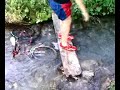 cazzate a fiumicello(lauria)