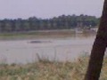 Live boat accident in harike pattan by raja kaunke 9417530723