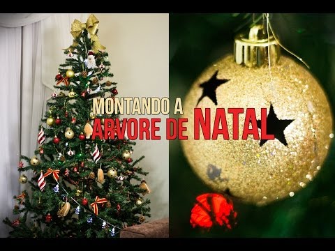 Montando a Árvore de Natal (2013)