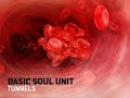 Basic Soul Unit - Tunnels (Sebo k & Metro remix) [house]