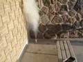 KNO3 SMOKE BOMB