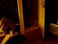 videos de Ash Plays Fetch