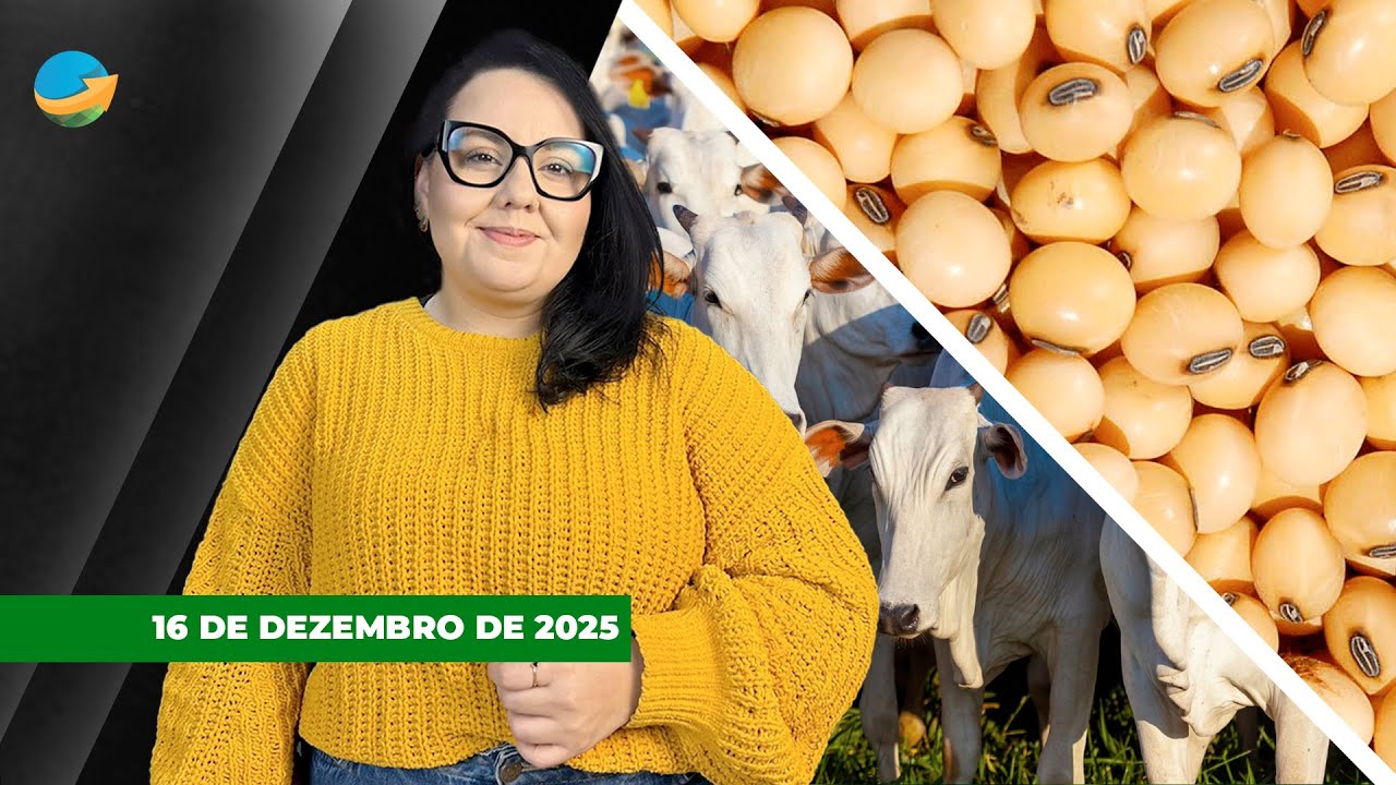 FECHAMENTO DE MERCADO - EDIÇÃO 16-12-2025