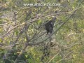 Vaalnest Boutique Hotel - Africa Travel Channel