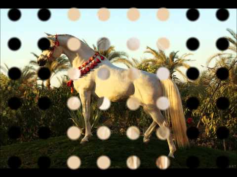 horses grand national