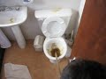 Destapando el Inodoro