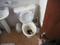 Destapando el Inodoro