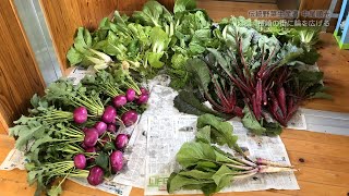 動画のサムネイル