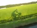 自転車通勤