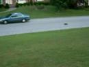 tmaxx 3.3