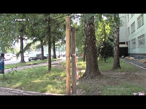 <a href='/Info/?id=83799' >Комунальний патруль за 31.07.2017</a>