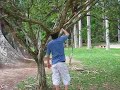 Filmando um bicho no Jardim Botânico Filmando um bicho no Jardim Botânico