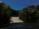 Welcome To The Jungle / Beach