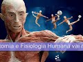 anatomia e fisiologia humana   abertura