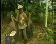 NBC's Matt Laurer - acai report from the Amazon