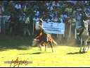 Fiesta Nacional del Puestero