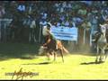 videos de Fiesta Nacional del Puestero