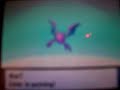 Evolving Globat to Crobat