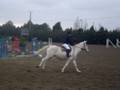 videos de fafaaaaa.wmv