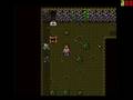 videos de Lufia II AC Run - No Armor 37